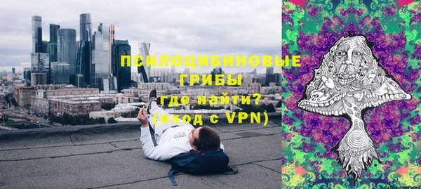 метадон Анива