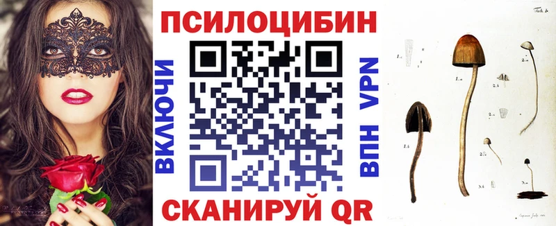 наркотики  Малгобек  Псилоцибиновые грибы Cubensis 