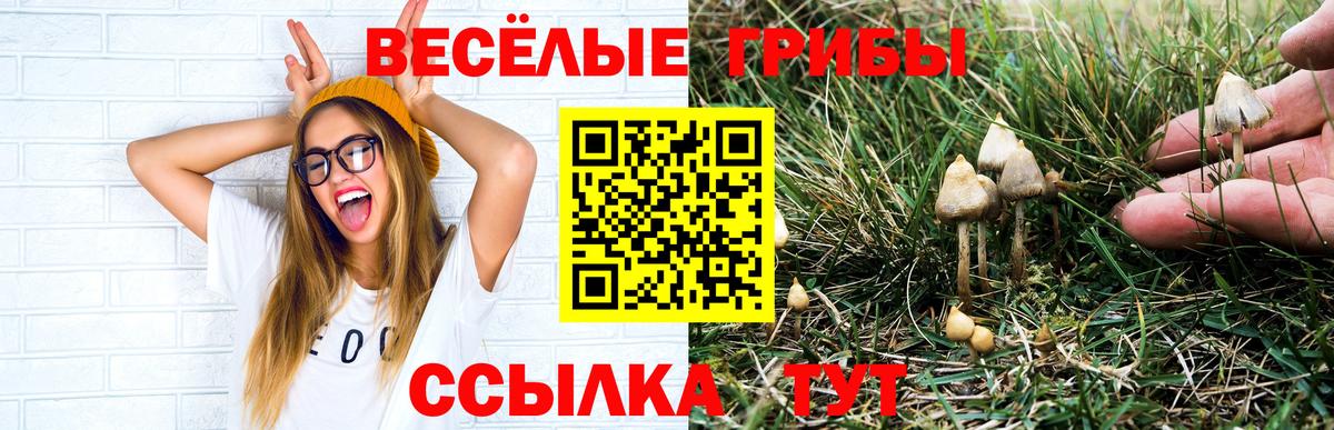 Малгобек  Псилоцибиновые грибы Cubensis  Галлюциногенные грибы ЛСД  Вход с VPN 
