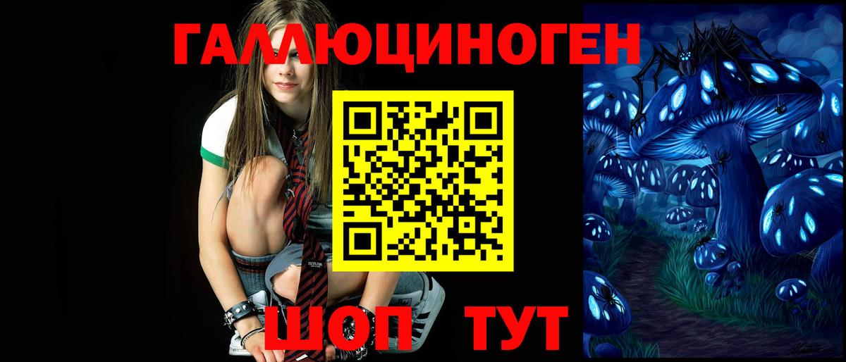 Псилоцибиновые грибы Psilocybe Малгобек