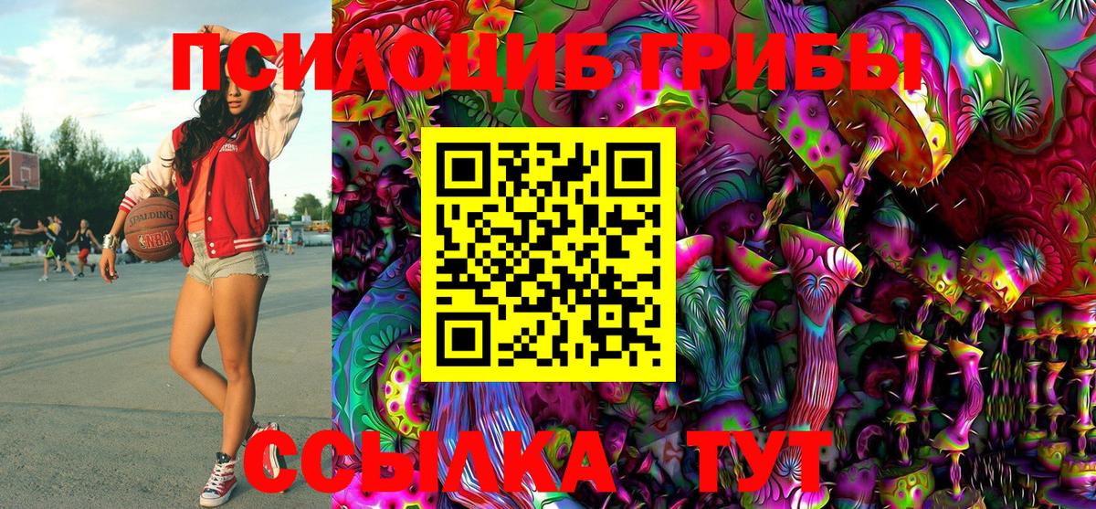Псилоцибиновые грибы GOLDEN TEACHER Малгобек